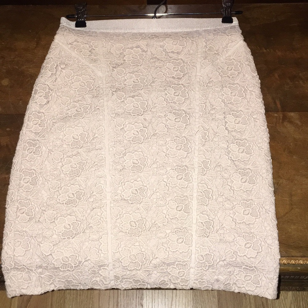 Ann Taylor Lace Skirt
